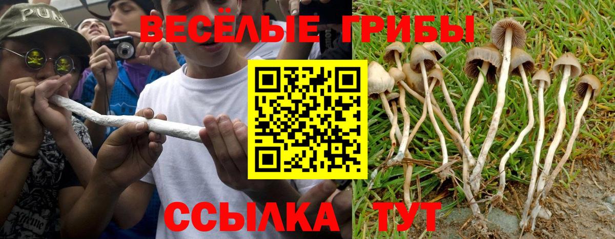 Великий Устюг  ГАШ  Вход с VPN  КОКАИН  APVP СОЛЬ кристаллы  Меф МЯУ МЯУ  Мефедрон кристаллы  MDMA 