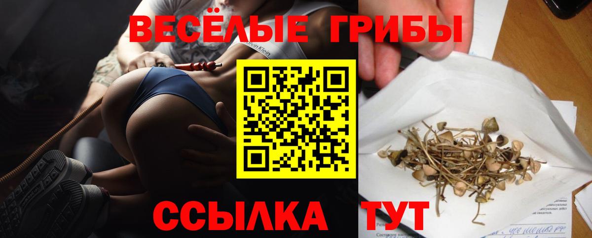 Псилоцибиновые грибы Magic Shrooms Великий Устюг